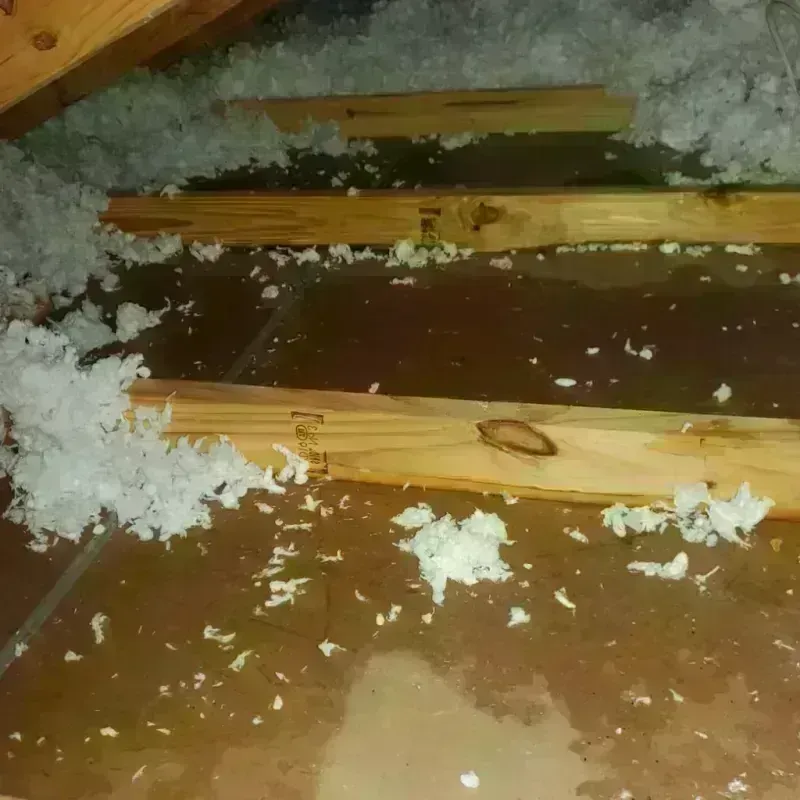 Attic Water Damage in Helena, OK